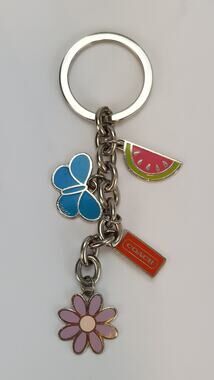 Coach Daisy Butterfly Watermelon Purse Tag Chain Keychain Ring